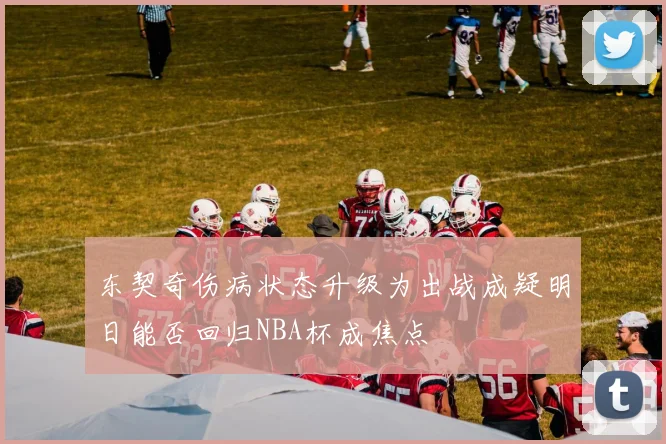 东契奇伤病状态升级为出战成疑明日能否回归NBA杯成焦点