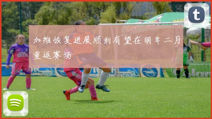 加维恢复进展顺利有望在明年二月重返赛场