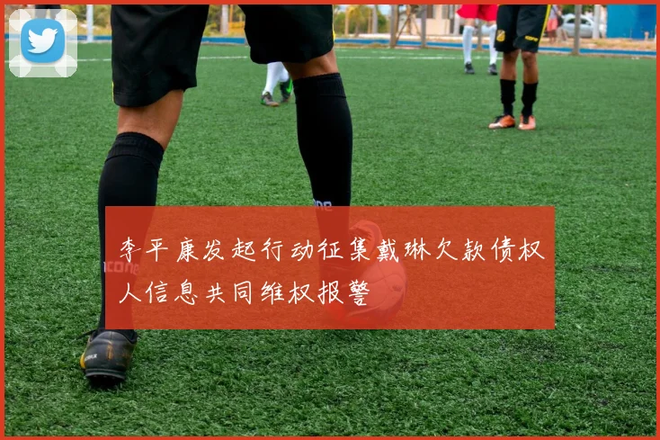 李平康发起行动征集戴琳欠款债权人信息共同维权报警